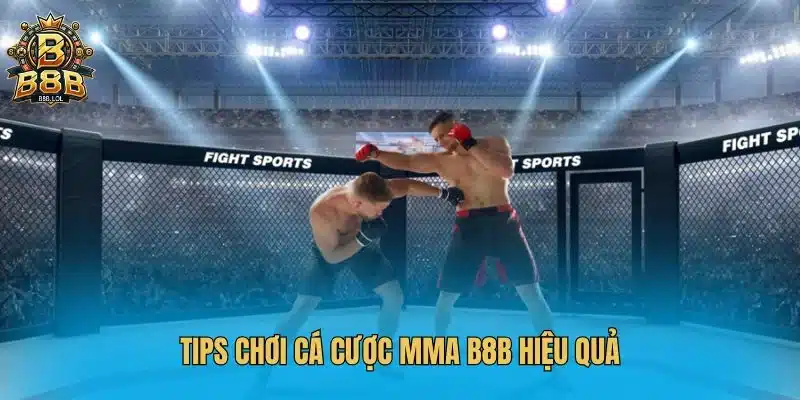 Tips chơi cá cược MMA B8B hiệu quả